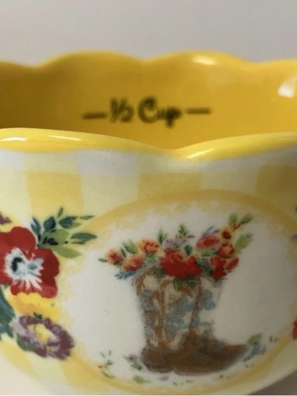 Pioneer Woman Gingham Sweet Romance Measuring Cup Set